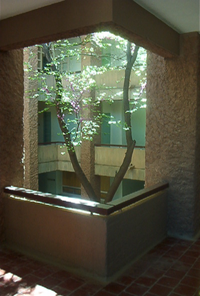 jeu de lumières